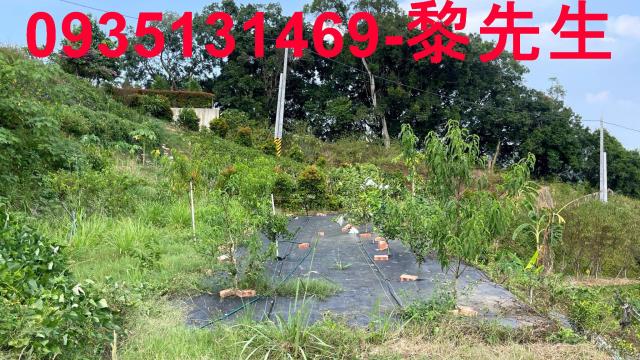 新竹寶山農地-11