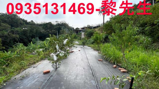 新竹寶山農地-13