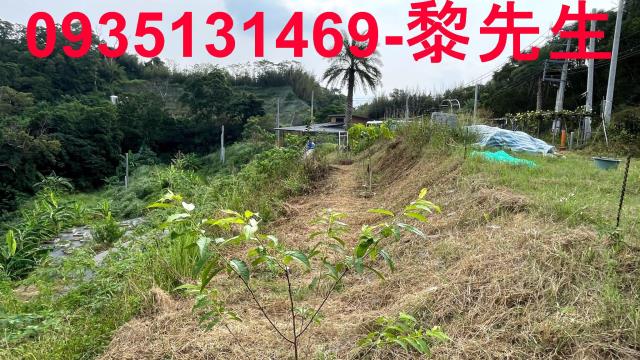 新竹寶山農地-9