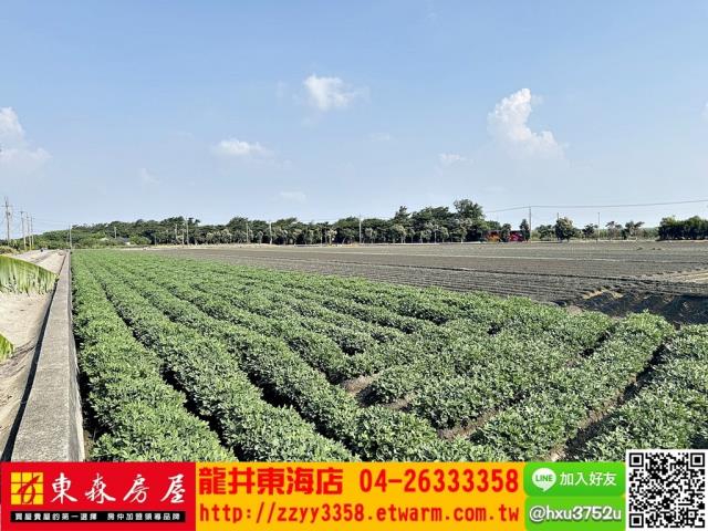 四湖農地-7