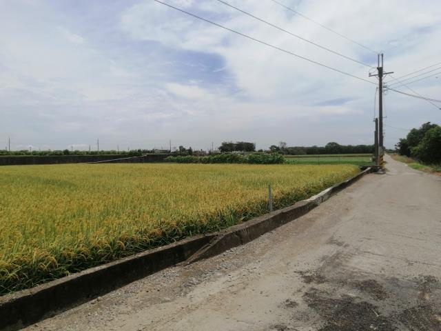 雲林斗南農地-7