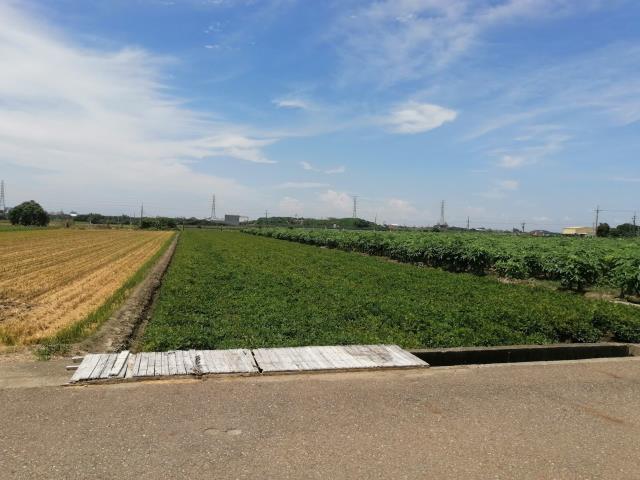 雲林斗南農地-3