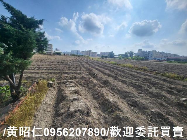 台南新市農地-1