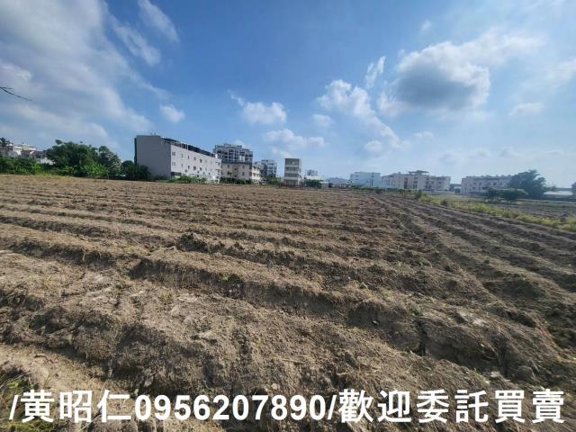 台南新市農地-2