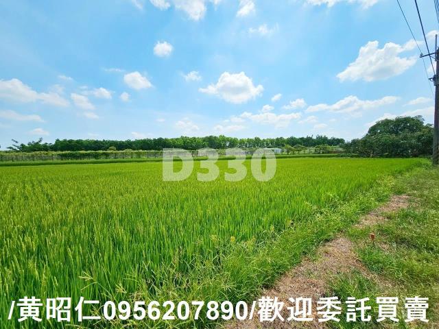 台南官田農地-1