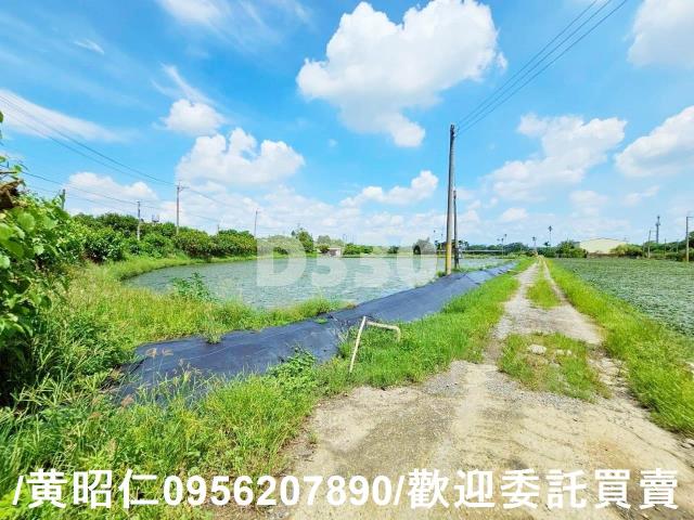 台南官田農地-6