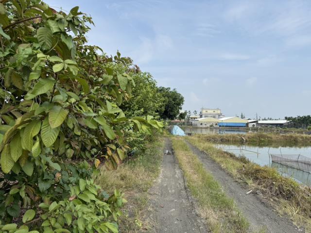 屏東竹田農地-3