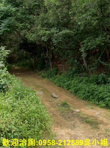 新竹新豐農地-4