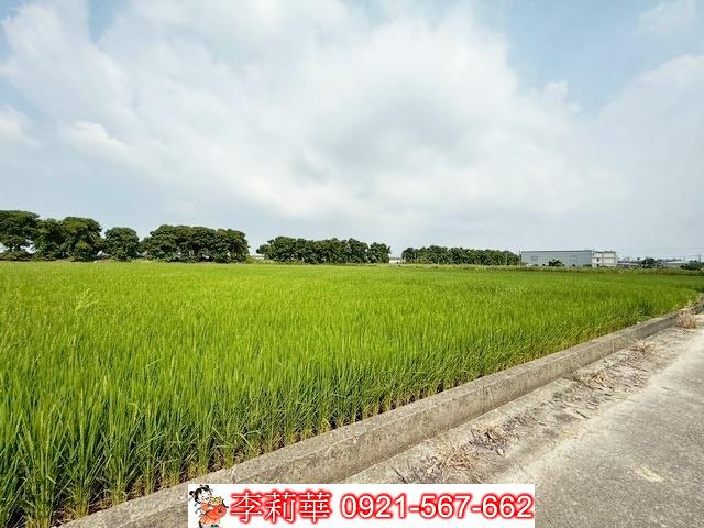 新營農地-10