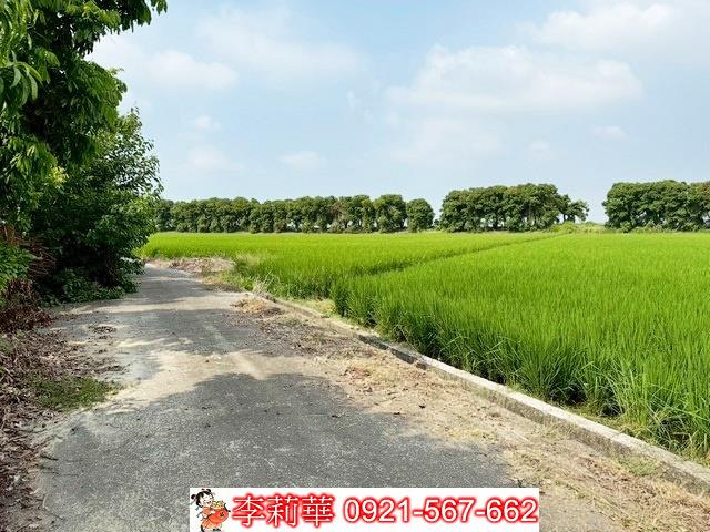 新營農地-3