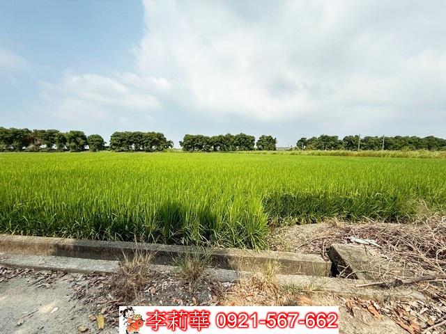 新營農地-5