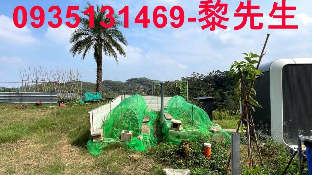寶山農地-10