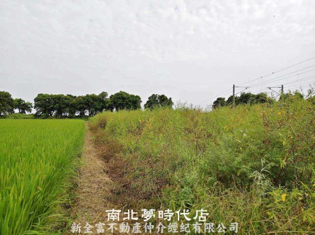 新營農地-4