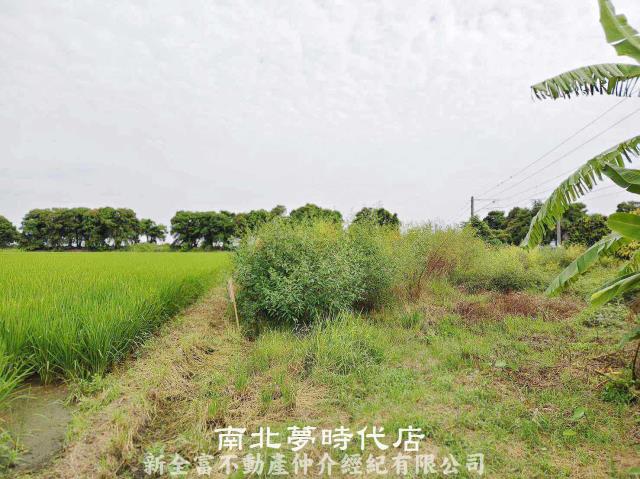 新營農地-5