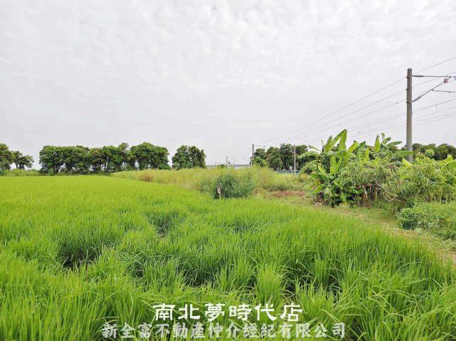 新營農地-6