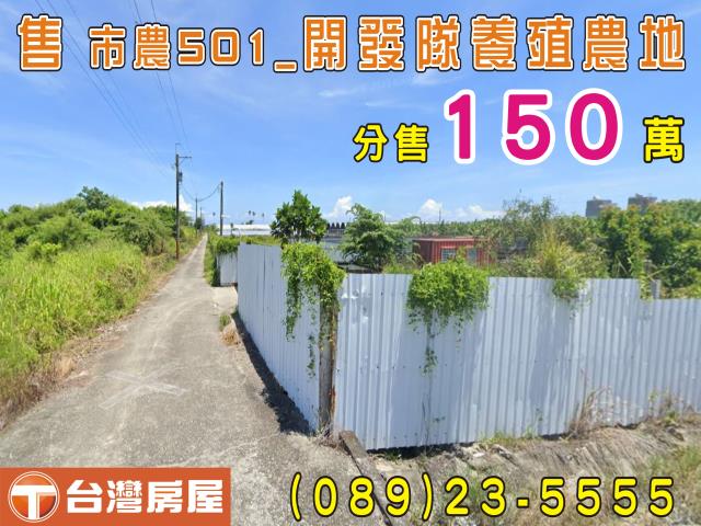 台東台東市農地-1