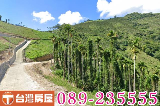 台東太麻里農地-3