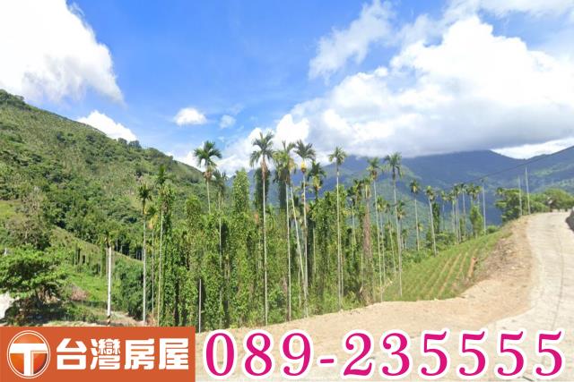 台東太麻里農地-4