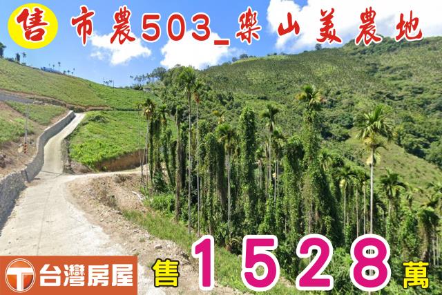 台東太麻里農地-2