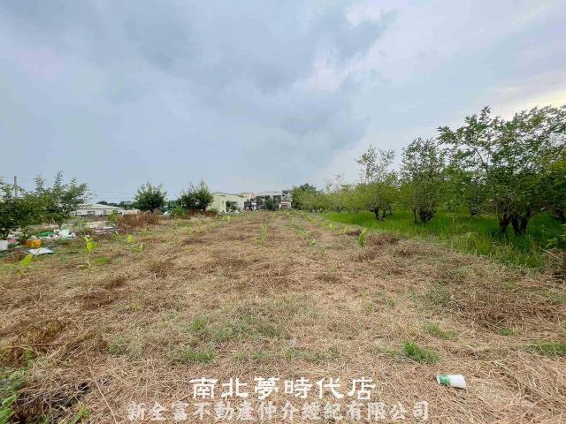 台南六甲農地-1