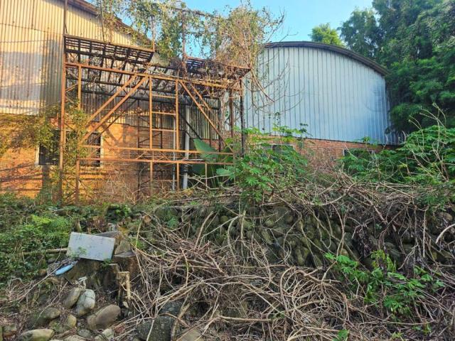 南投名間農地-6