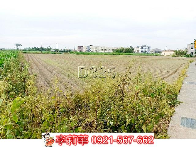 台南佳里農地-13