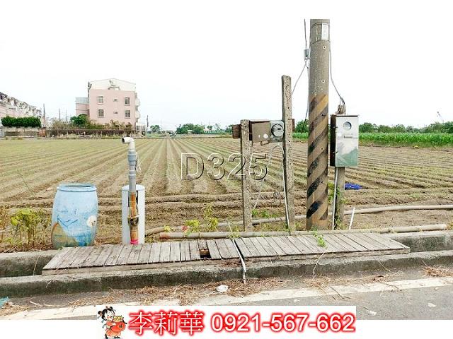 台南佳里農地-6