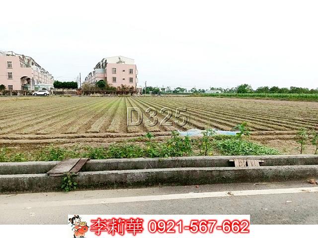 台南佳里農地-8