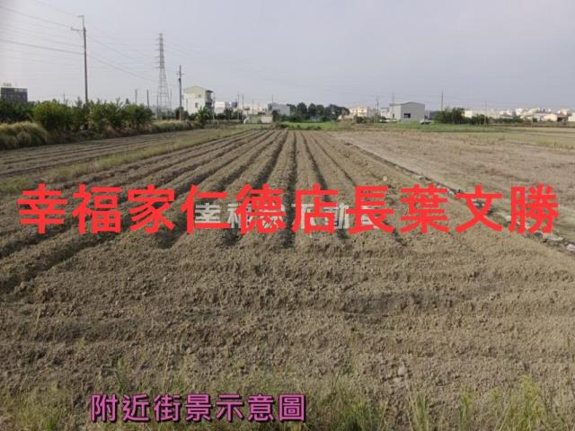 台南新市農地-4