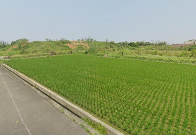 桃園農地-1