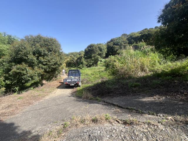 台中太平農地-1