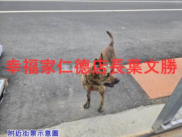 台南佳里農地-13