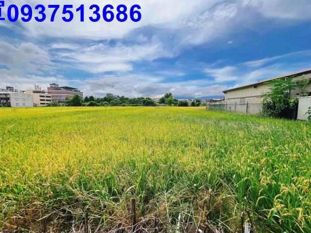 宜蘭壯圍農地-10