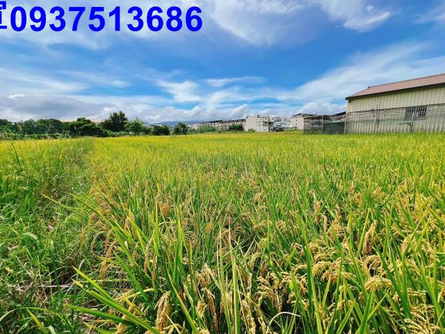 宜蘭壯圍農地-6