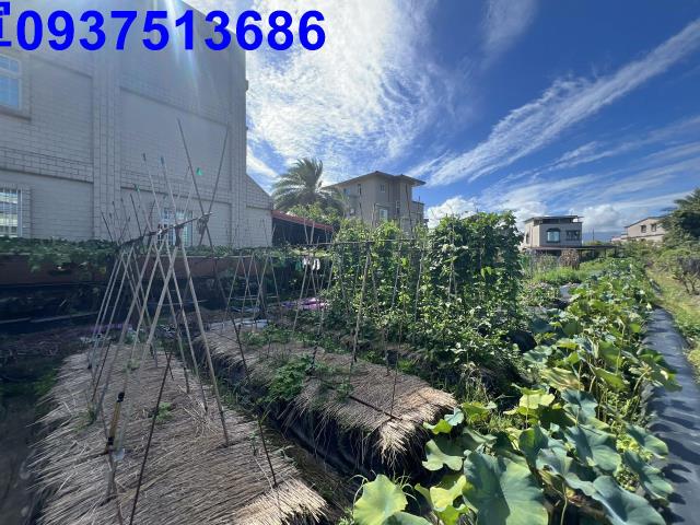 宜蘭宜蘭市農地-3