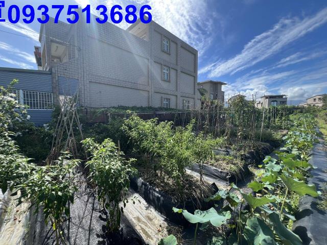 宜蘭宜蘭市農地-5