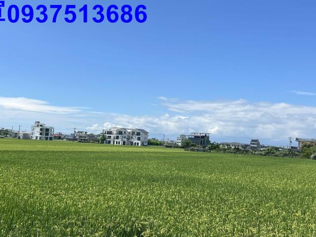 宜蘭礁溪農地-7