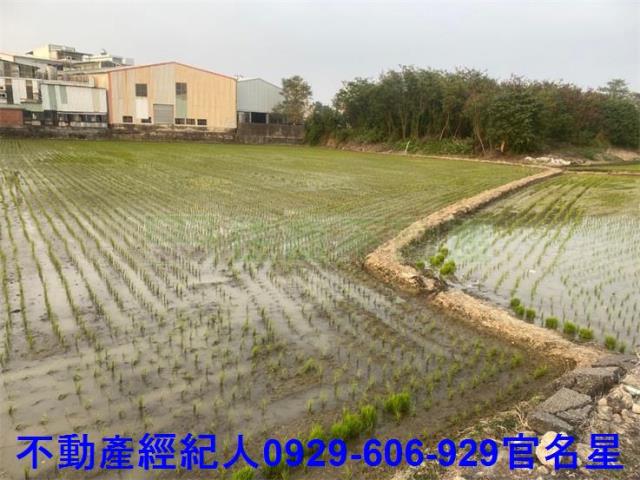 嘉義西區農地-4