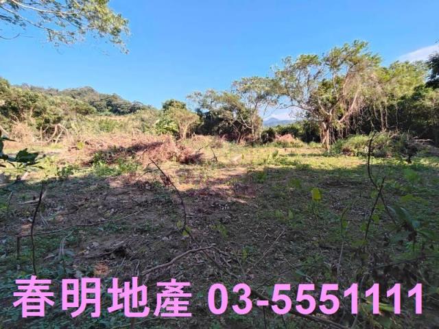 新竹關西農地-3