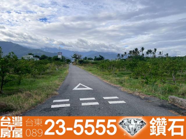 台東台東市農地-8