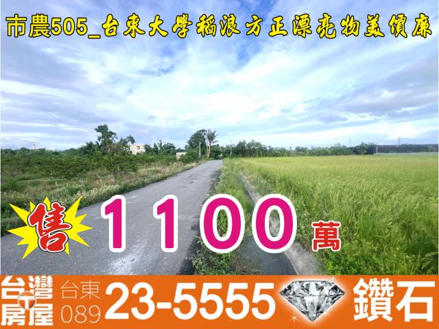 台東台東市農地-2