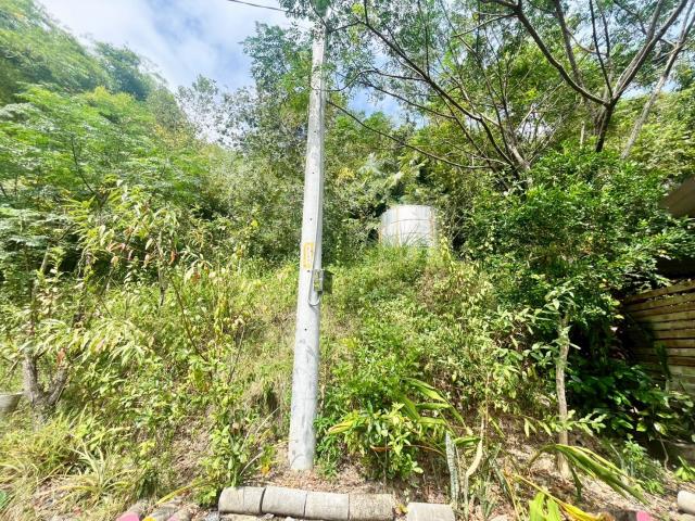 南投中寮農地-11