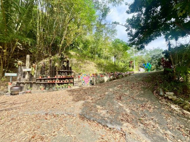 南投中寮農地-12