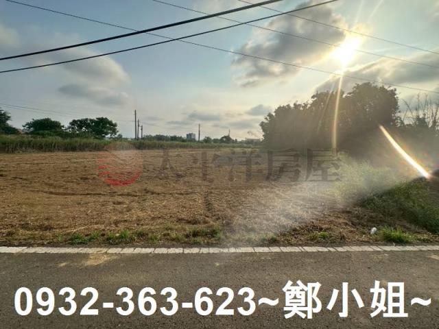 桃園大園農地-13