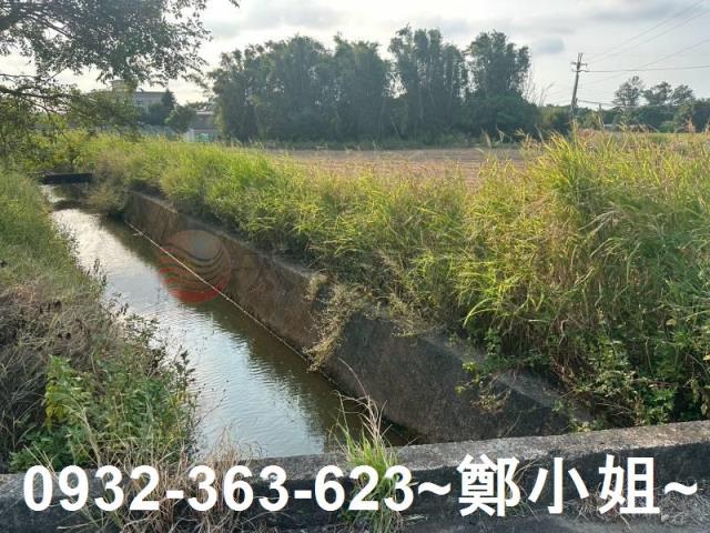 桃園大園農地-2