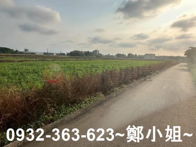 桃園大園農地-3