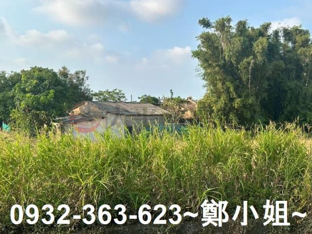 桃園大園農地-4