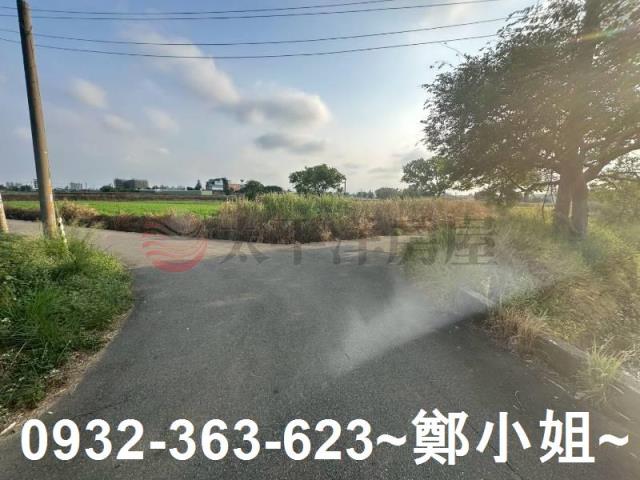 桃園大園農地-6