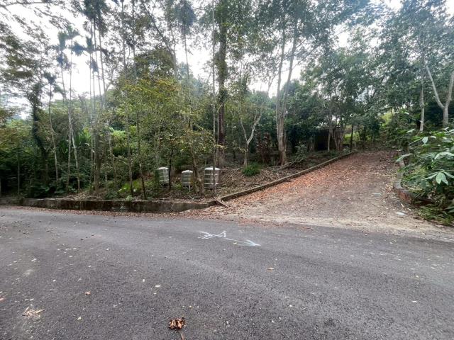 南投鹿谷農地-1