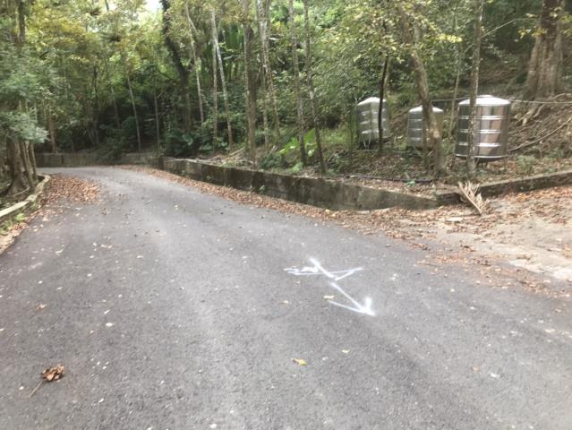 南投鹿谷農地-14